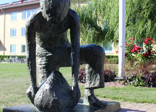 Wive Larsson,Pojke