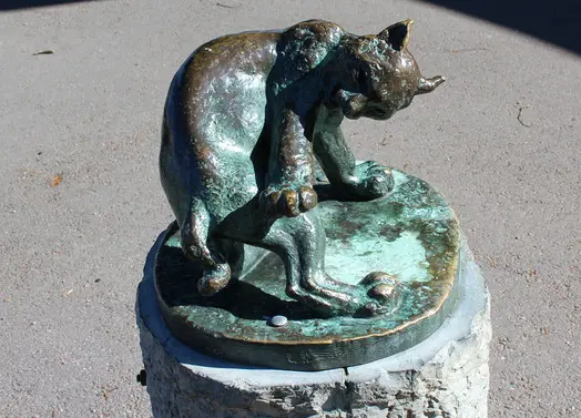Arvid Knöppel, Lokatt